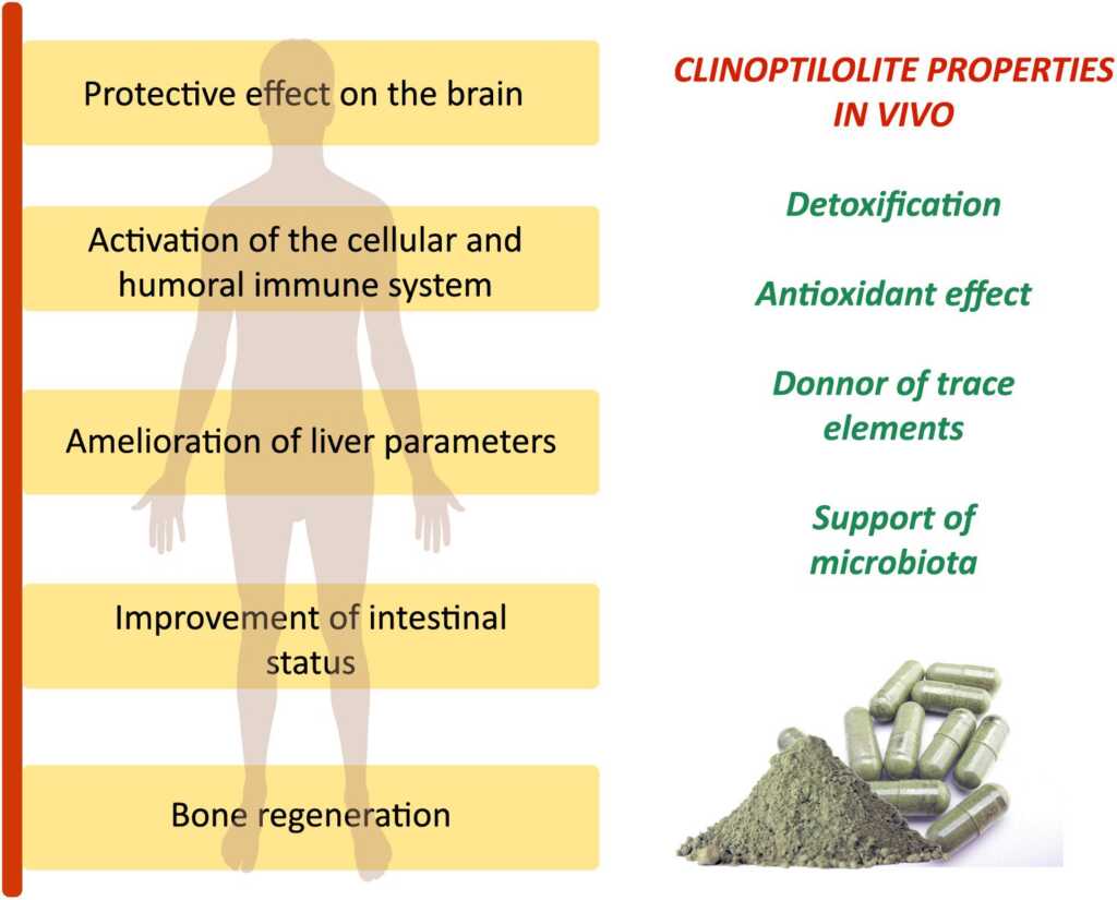 Zeolite: Uses,functions and applications Zeolite Usesfunctions and applications 297043 1 1024x825 - Zeolite: Uses,functions and applications